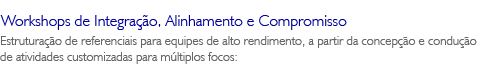 Workshops de Integrao, Alinhamento e Compromisso - Estruturao de referenciais para equipes de alto rendimento, a partir da concepo e conduo de atividades customizadas para mltiplos focos:
