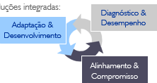 Desenvolvimento de Equipes